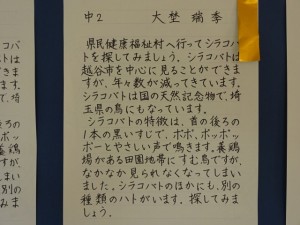 DSC08716