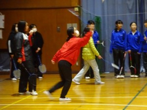 DSC00378