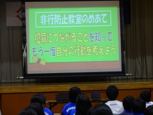 DSC04229