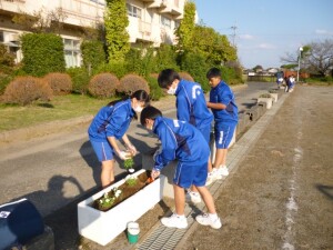 花の植えかけ