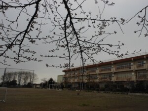 DSCN4906