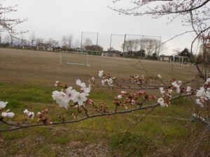 DSCN4907