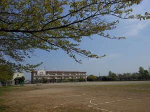 DSCN5041